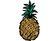 pineapple.gif