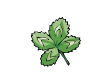 clover2.gif