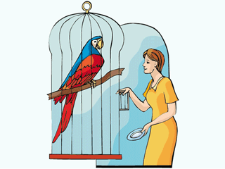 womanparrot.gif