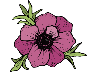 anemone.gif