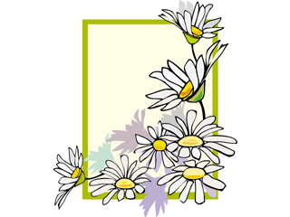 camomile2.gif