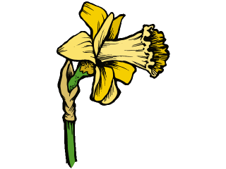 daffodil.gif