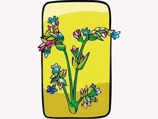 fieldflower3.gif