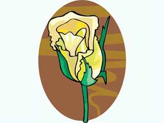 flower16.gif