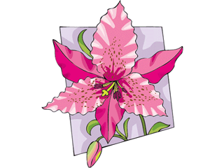 flower201212.gif