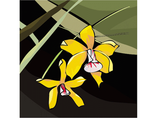 flower211212.gif