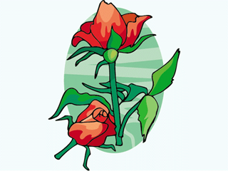 flower23.gif