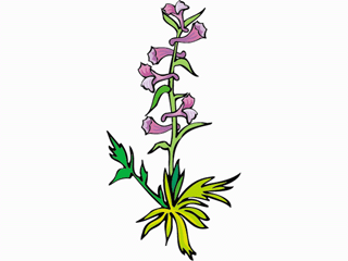 flower3.gif