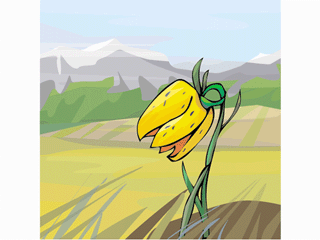 flower311212.gif