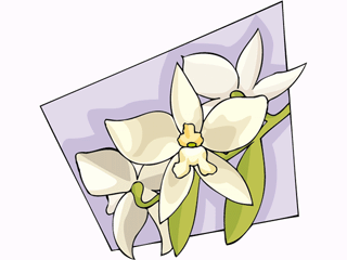 flower51212.gif