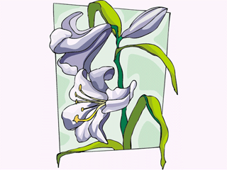 flower651212.gif