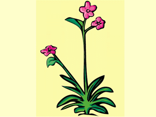 flower82.gif