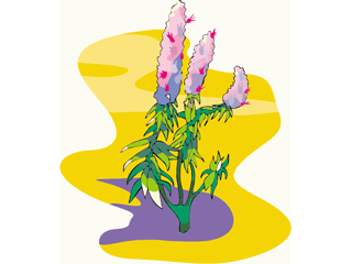 pinkflowers2.gif