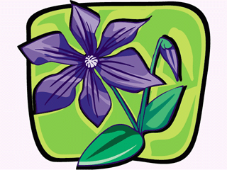 purpleflower.gif