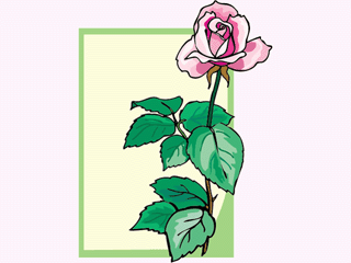 rose41212.gif