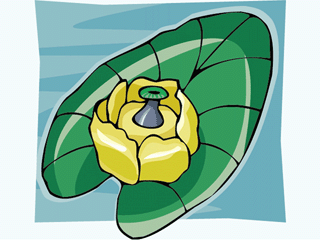 spatterdock1212.gif