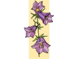 bellflower2.gif