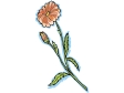 flower51312.gif