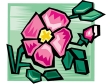 flower55.gif