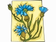 flower561212.gif