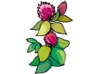 flower8.gif