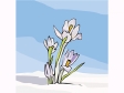 snowdrop1212.gif