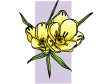 yellowflower2.gif