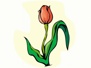 tulip1212.gif