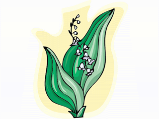 woodlily2.gif