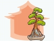 japanessetree6.gif