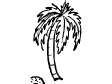 palmtree.gif