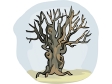 tree12.gif