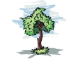 tree1212.gif