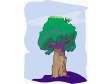 tree7.gif