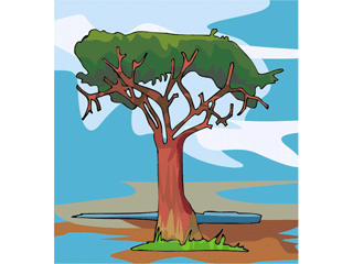 tree13.gif