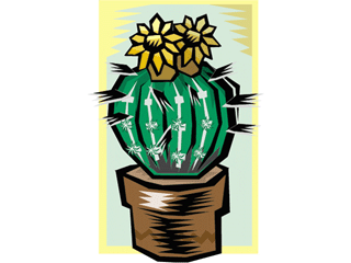 cactus171212.gif