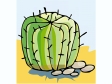 cactus101412.gif