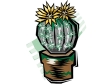 cactus161212.gif