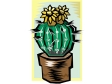 cactus171212.gif