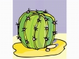 cactus181312.gif