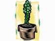 cactus201212.gif