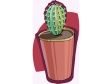 cactus21.gif