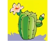 cactus221312.gif
