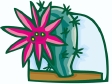 cactus23.gif