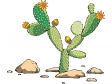 cactus321212.gif