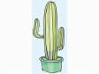 cactus51512.gif