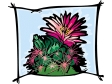 flowercactus2.gif