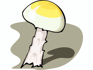 mushroom11.gif