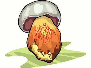 mushroom21.gif