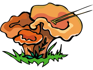 mushroom3.gif
